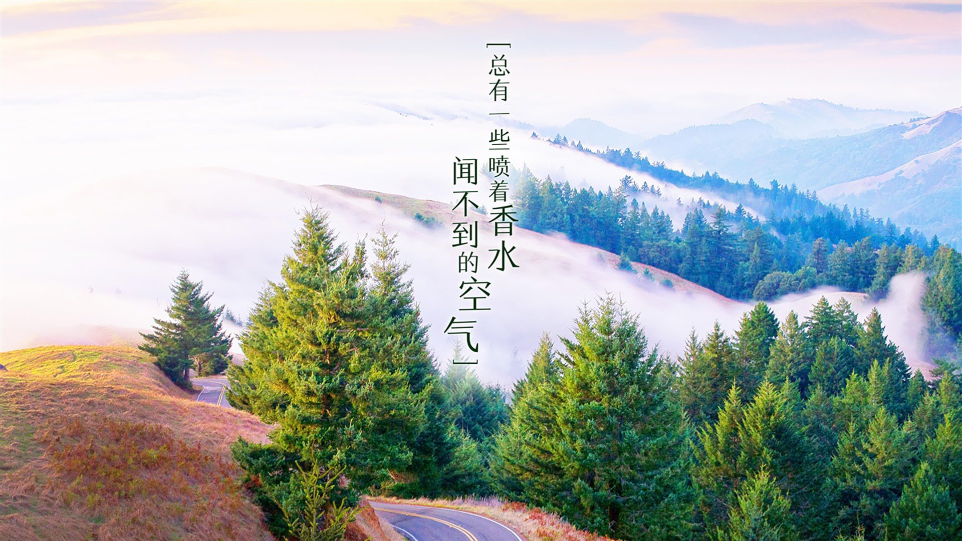 意甲最佳阵容出炉，展现本赛季足球精华，意甲最佳11人