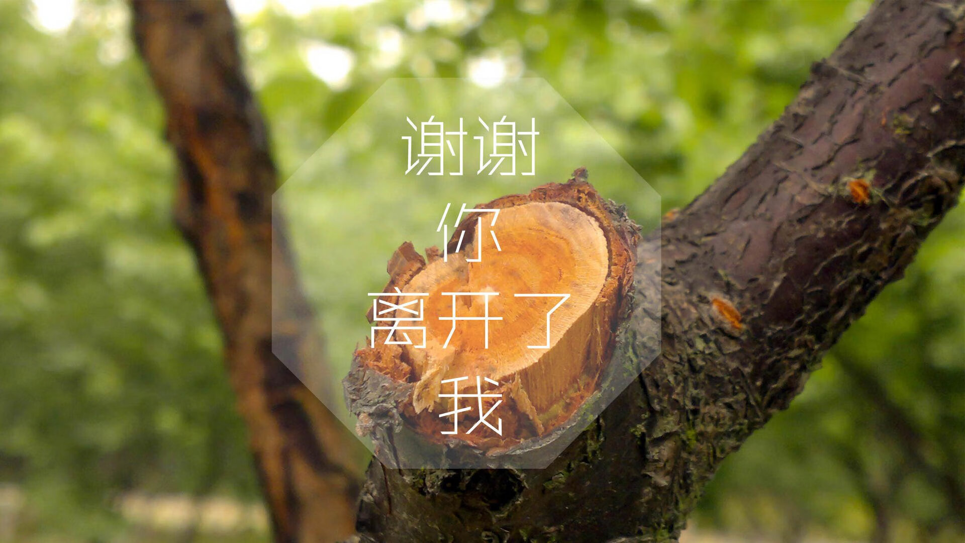 美国战队力争IEM冠军，美国 战队