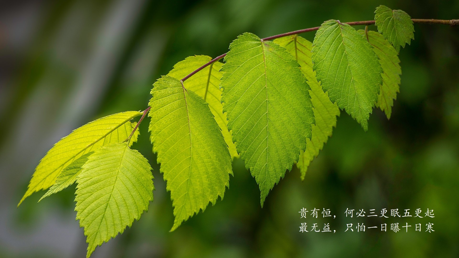 校园体育场馆节能管理技术应用，学校体育场馆管理方案