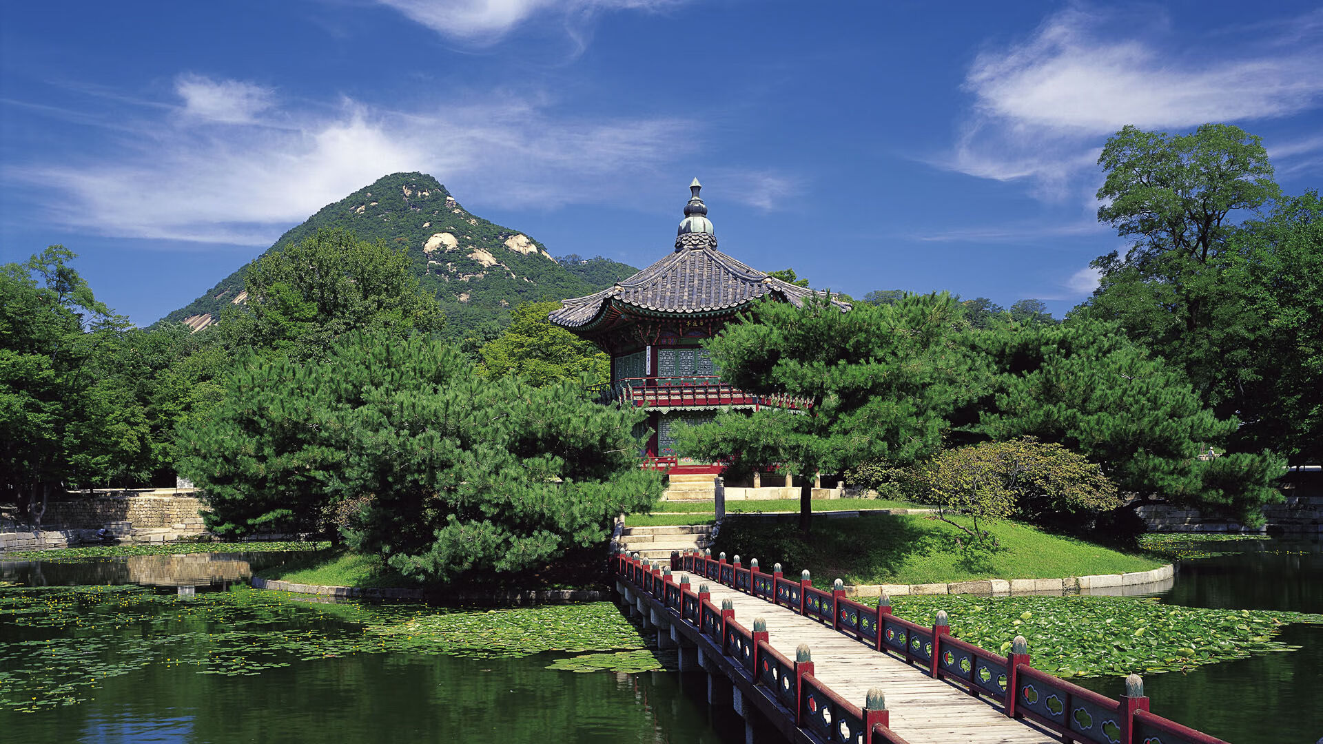 南非羚羊队的攻防转换：快速高效的攻防转换成了他们的致命武器