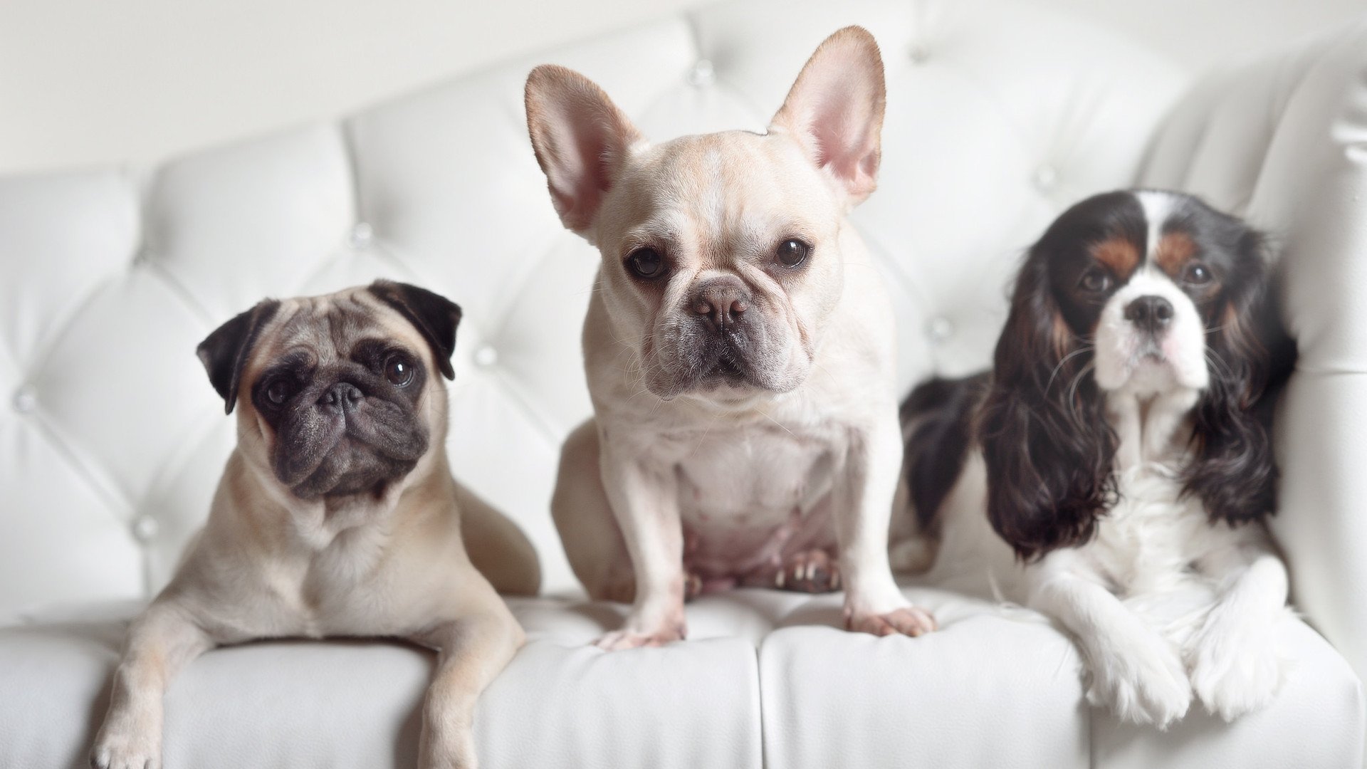 爱游戏在线登录入口-西甲突破极限：精彩瞬间，震撼全场！，西甲超级杯冠军